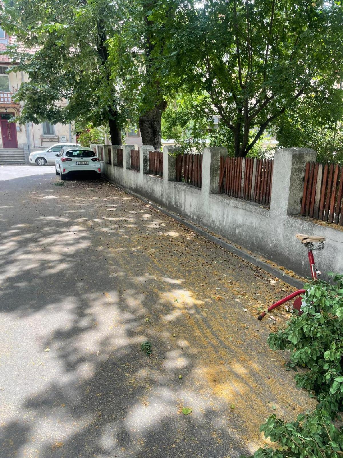 White Bucarest